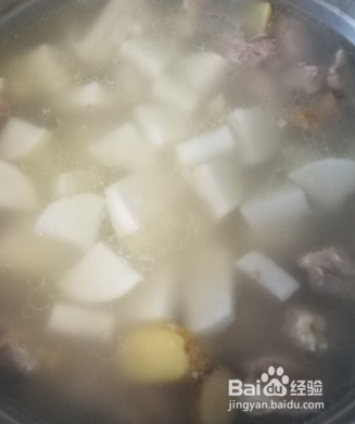 如何做萝卜羊肉汤