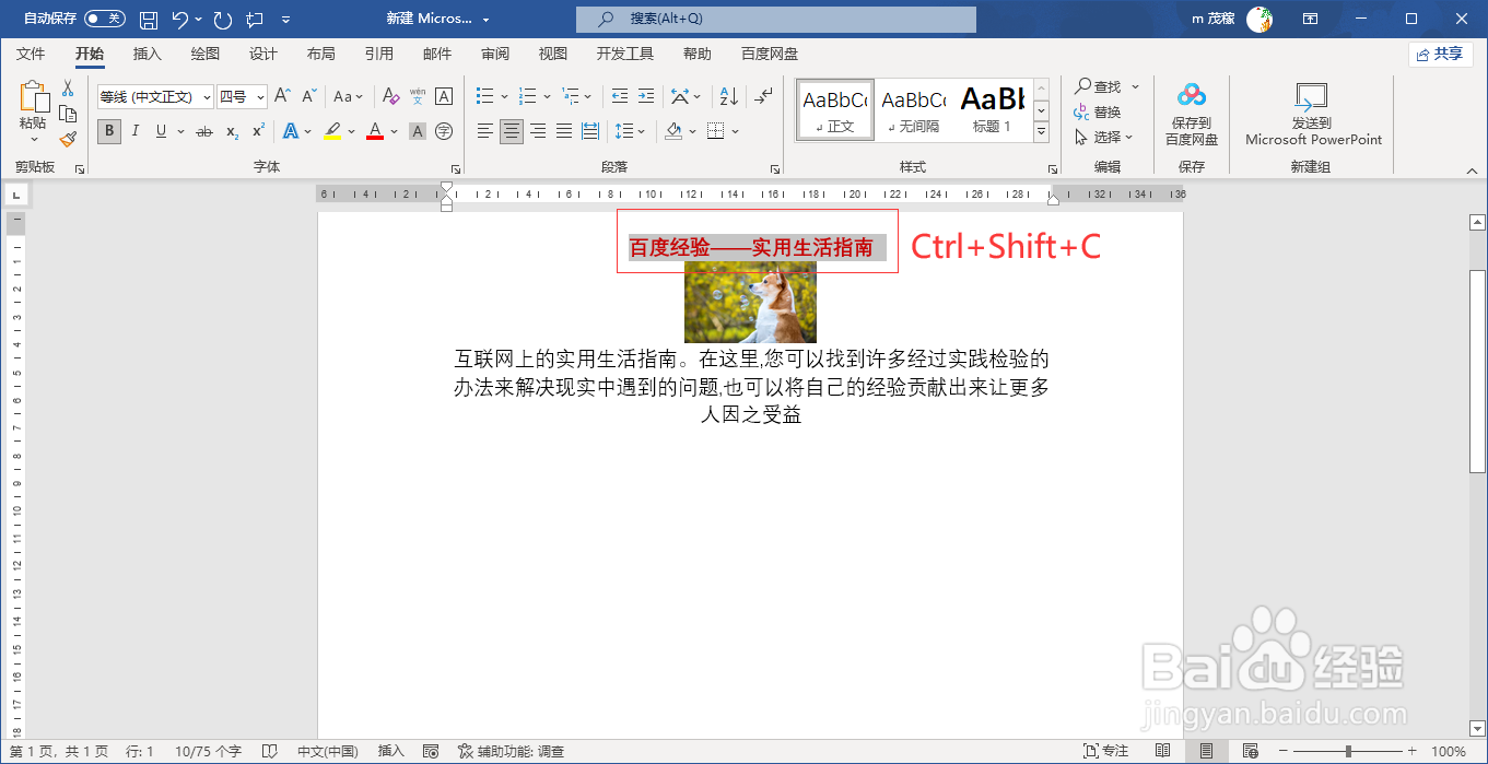 word2021复制粘贴文字格式