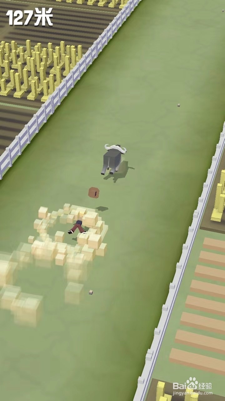 疯狂动物园攻略