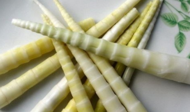 方竹笋的保鲜保存持久方法