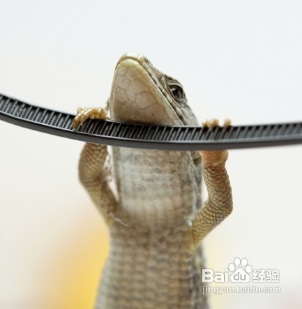 怎样快速缓解身体的疲劳