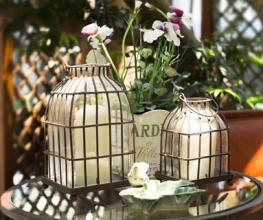 如何给绿植浇水?