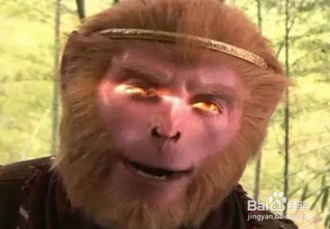 小叶紫檀树的鉴别方法