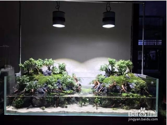 1.2米鱼缸造景教程