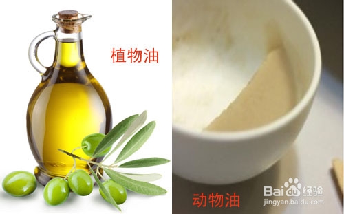 调味品的营养(五)——油