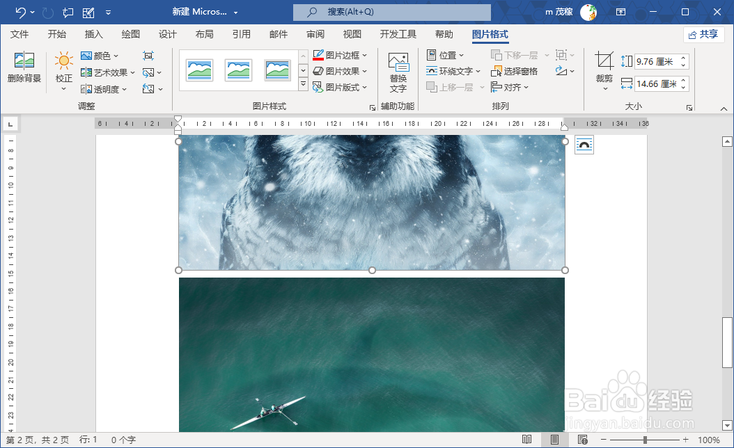 word2021自动压缩插入的图片