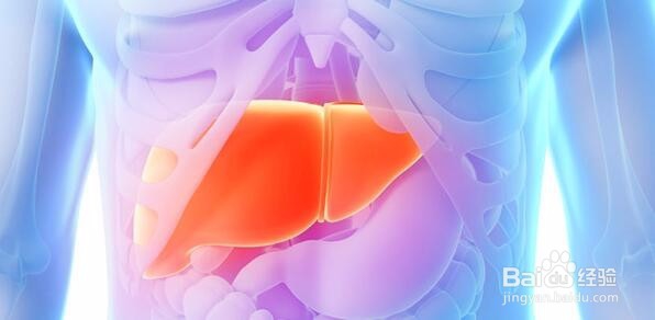 转氨酶高的危害