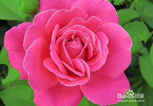 让你一生难忘的话 3