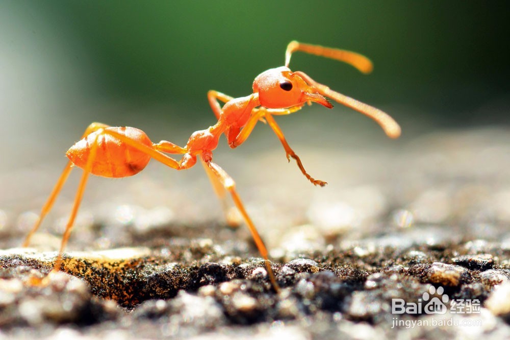 如何学好高中生物呢?