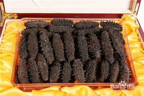 如何科学的吃 海参 海胆等海货