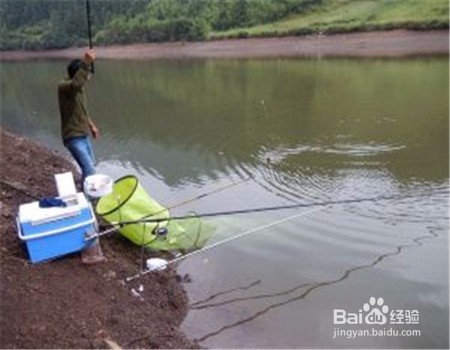 秋天怎样钓鲫鱼