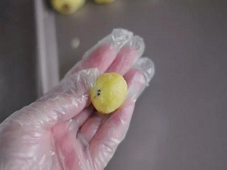 提子椰蓉球怎么做?