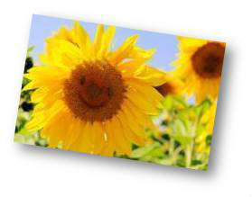 怎样控制自己的情绪