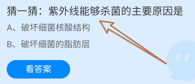 蚂蚁庄园答案紫外线能够杀菌的主要原因是