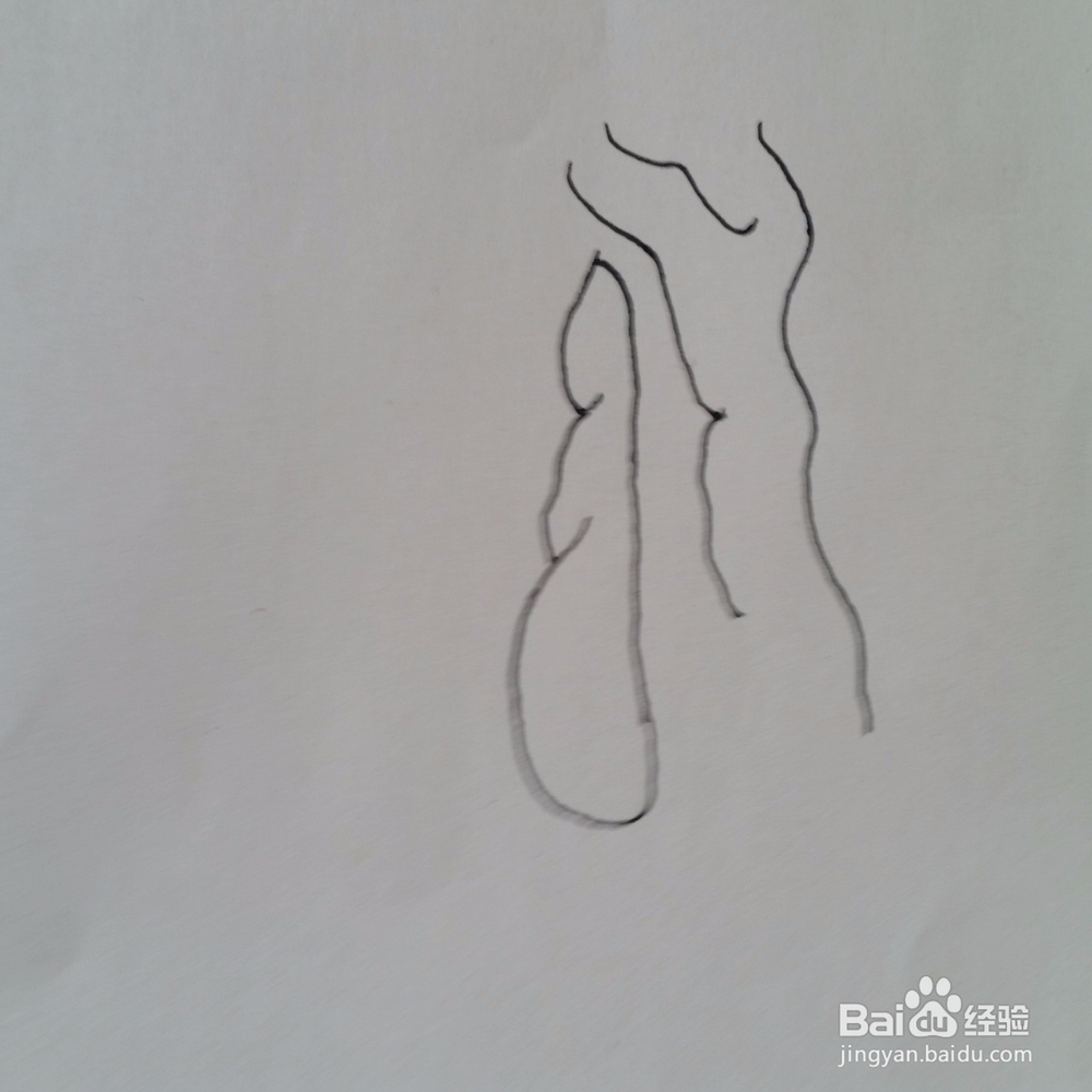 幼儿手工简笔画热闹的水底世界