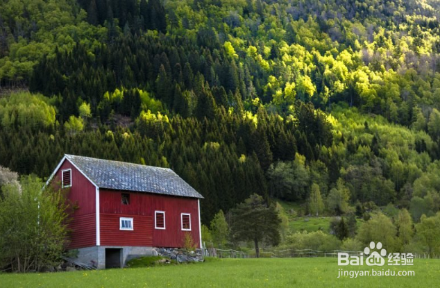 如何使你的摄影作品达到视觉平衡？