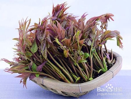 香椿炒鸡蛋做法技巧