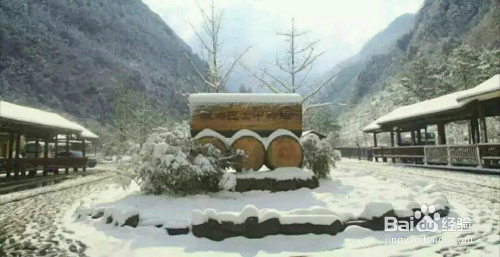 重庆大雪纷飞的金佛山风景区, 你去旅游过吗?
