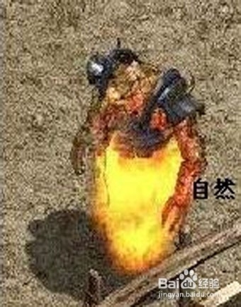 盛世征途非人民币玩家如何选择职业