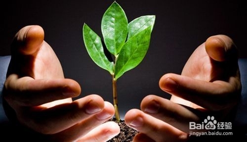 如何选择本地胜负