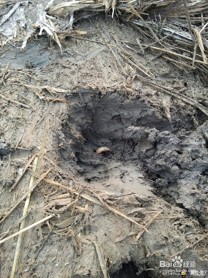 国庆过后，到长沙乡村怎样找农村人的乐子！！！