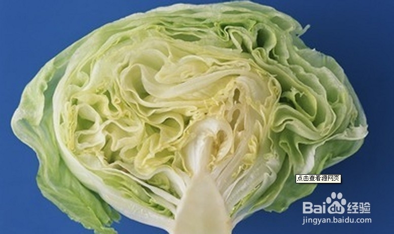养胃必吃的这6种食物