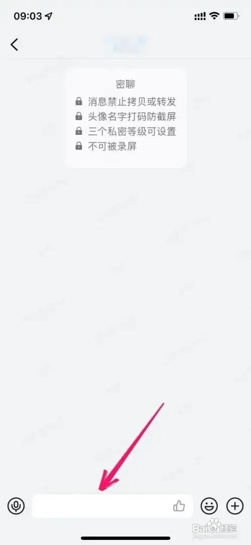 钉钉密聊怎么打开