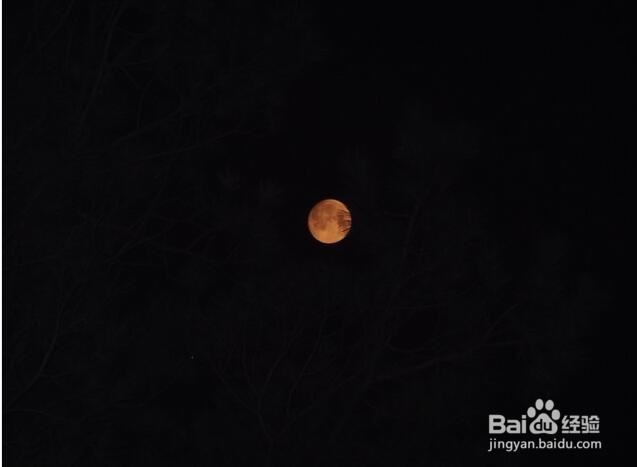 模块创新为刀锋注入新灵魂 Moto Z 深度评测