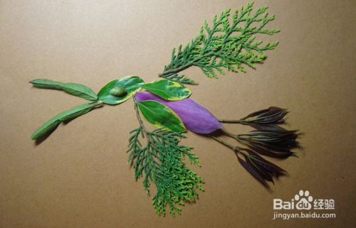 植物画如何拼装飞翔的翼龙