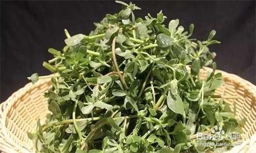 孕妇如何不能吃的几样菜，吃了又会怎样呢？