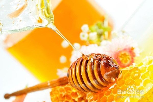 枸杞蜂蜜，枸杞蜂蜜网[图]