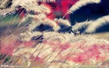 法院判决离婚的时间、及程序