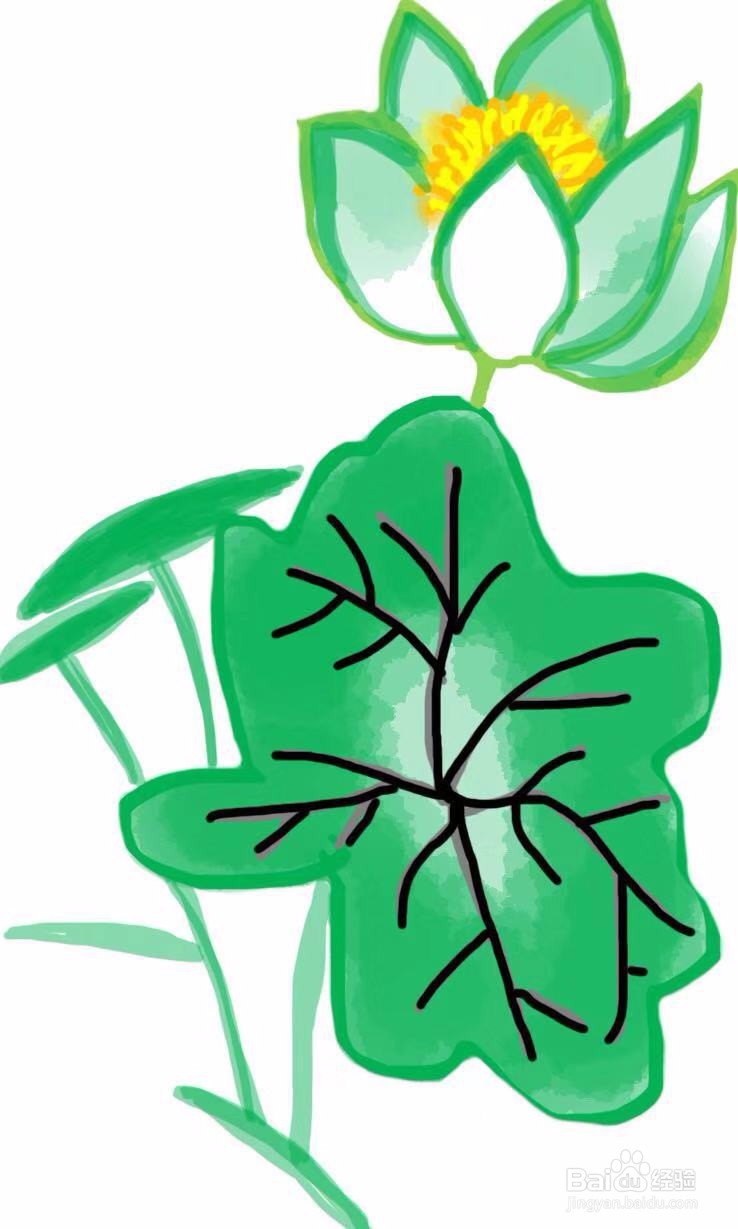简笔画教程之荷花