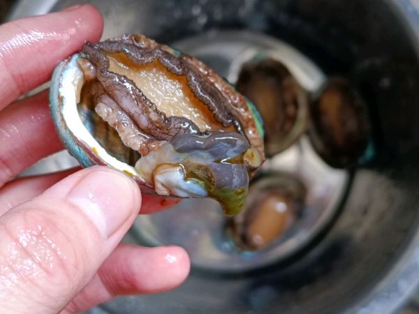 虫草花鲍鱼龙骨汤