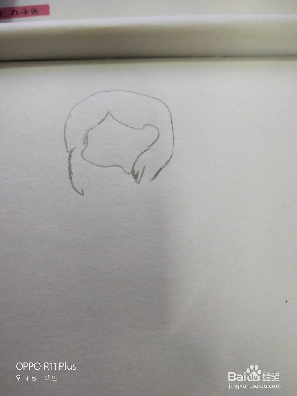 亭亭玉立的山茶花少女