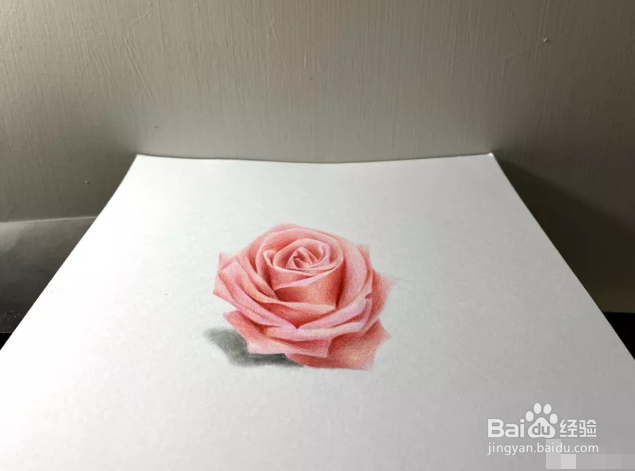 情人节用玫瑰”画“送女票....