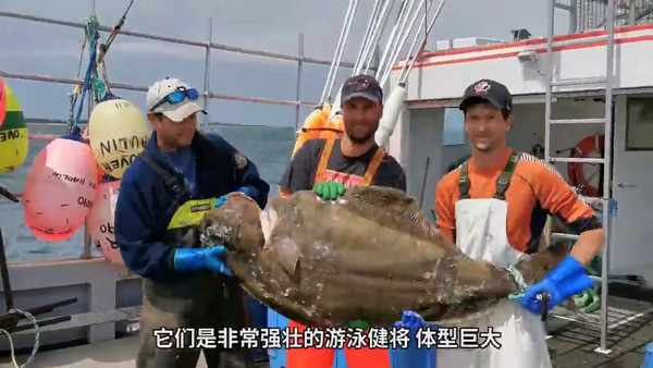 香煎加拿大大比目鱼排