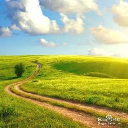 我们怎么样更加好的混在当下