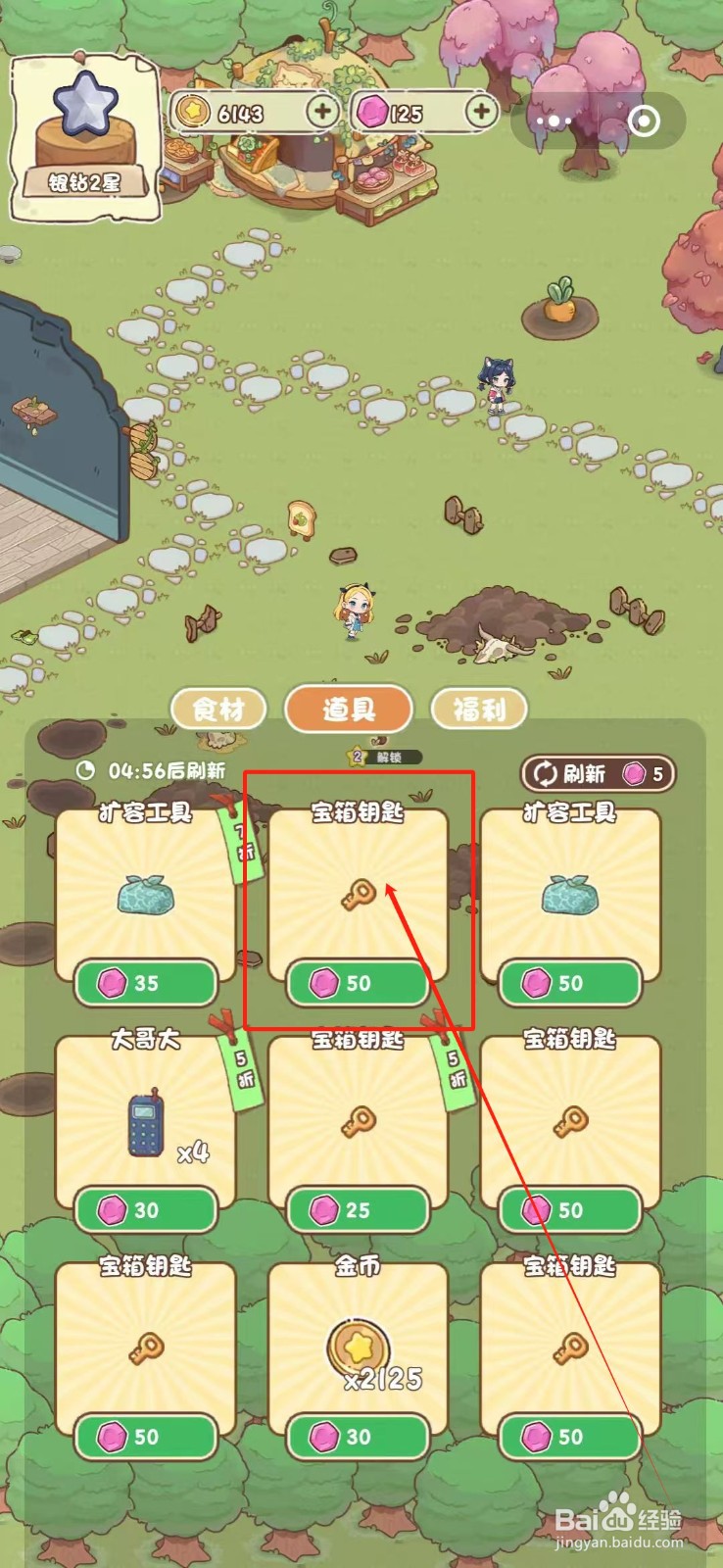 我家后院有座岛怎么购买宝箱钥匙