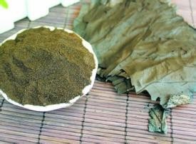 用荷叶灰减肥有副作用吗？