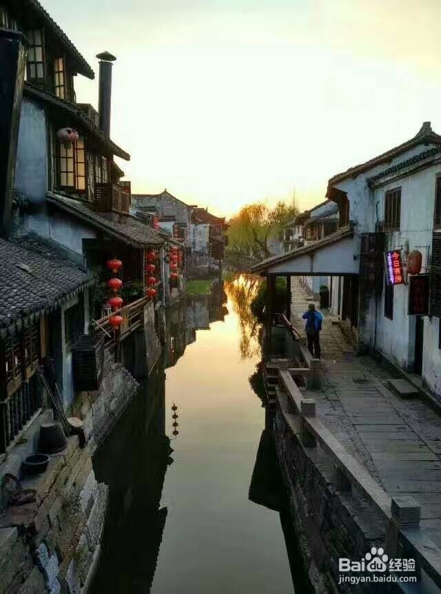 春游好去处,4月花儿相映红。