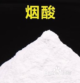 吃秀珍菇对身体有什么好处