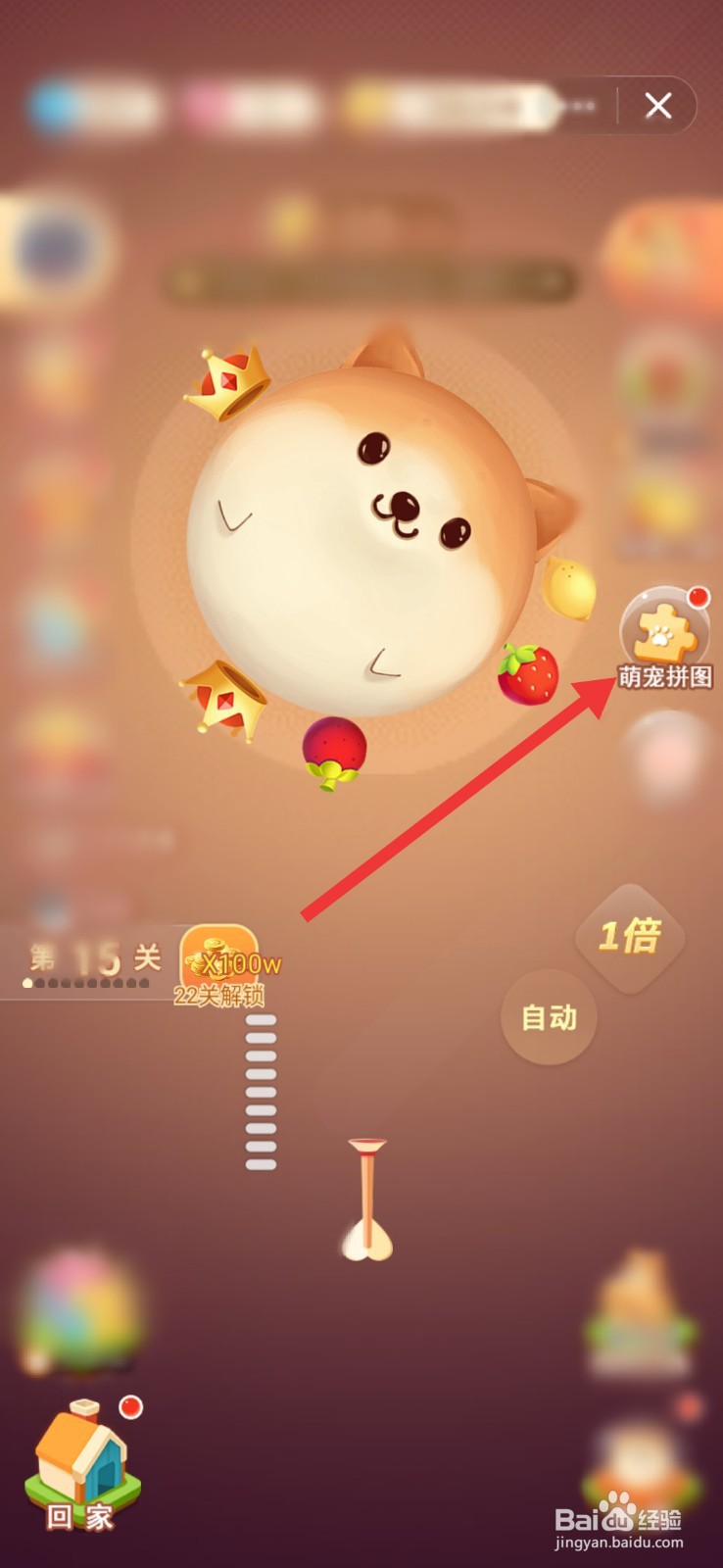 家居改造王萌宠拼图怎么拼