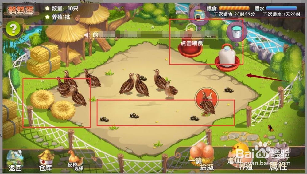 进入一乙农场领取新人奖励鸡蛋与养殖10只鹌鹑