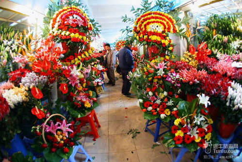 春节去云南旅游购物指南