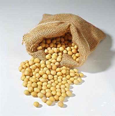 女性怎样在初冬进行保健？