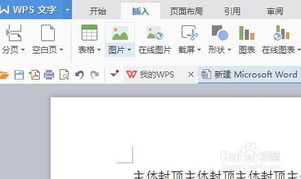 word插入图片