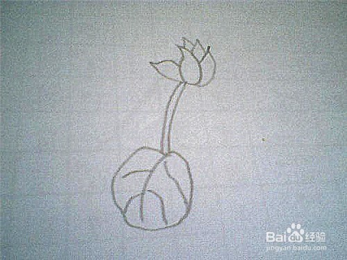 简笔画仙鹤来这样画