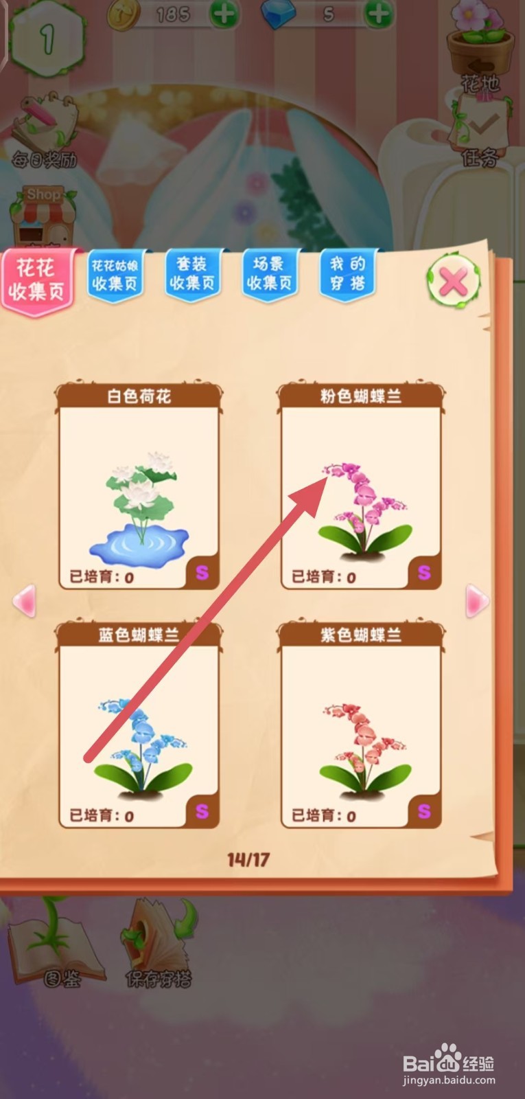 花花姑娘怎么查看粉色蝴蝶兰的生长速度