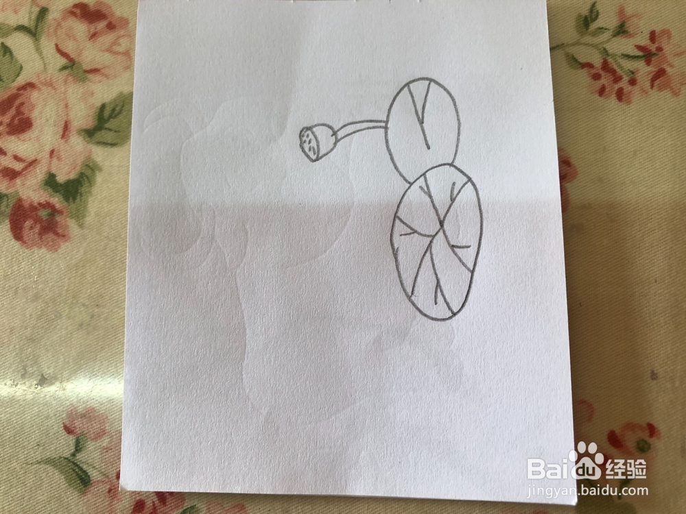 教你画夏日荷塘